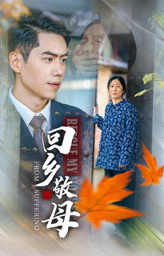 回乡敬母 - 全集完结_情景解析_婉静好片-90s网_情景解析